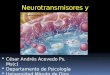 Neurotransmisores y  Neuromoduladores