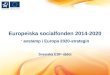 Europeiska socialfonden  2014-2020 avstamp i Europa 2020-strategin Svenska  ESF-rådet