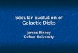 Secular Evolution of Galactic Disks
