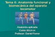 Tema 6: Anatomía funcional y biomecánica del aparato locomotor