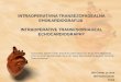 INTRAOPERATIVNA TRANSEZOFAGEALNA EHOKARDIOGRAFIJA INTRAOPERATIVE TRANSESOPHAGEAL ECHOCARDIOGRAPHY