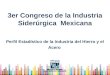 3er Congreso de la Industria Siderúrgica  Mexicana