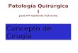 Patología Quirúrgica I José Mª Gallardo Valverde
