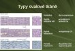 Typy svalové tkáně