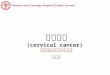 子宫颈癌 (cervical cancer)