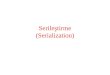 Serileştirme (Serialization)