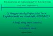 Új Magyarország Fejlesztési Terv: foglalkoztatás és növekedés 2007-2013