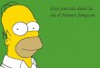 Une journée dans la vie d’Homer Simpson