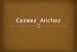 Career Anchor