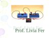 Prof. Livia Fer