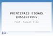 PRINCIPAIS BIOMAS BRASILEIROS