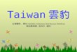 Taiwan 雲 豹