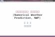 대기과학에서의 수치모델링 (Numerical Weather Prediction, NWP)