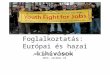 Ifjúsági Foglalkoztatás:  Európai és hazai kihívások