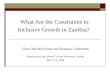 What Are the Constraints to Inclusive Growth in Zambia?