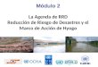 La Agenda de RRD Reducción  de  Riesgo  de  Desastres  y el  Marco de Acción de  Hyogo