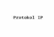 Protokol IP