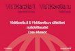 VisitKarelia.fi  &  VisitKarelia.ru  sähköiset mahdollisuudet Case: Museot