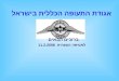 אגודת התעופה הכללית בישראל