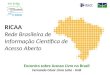 RICAA Rede Brasileira  de  Informação Científica  de  Acesso Aberto