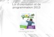 Loi d'orientation et de programmation 2013