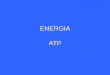 ENERGIA ATP