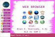 WEB BROWSER