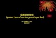 保護瀕危物種 (protection of endangered species) 6B  謝惠珊  (24) 2006 年