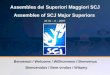 Assemblea dei Superiori Maggiori SCJ Assemblee of SCJ Major Superiors  22-31 – X – 2007