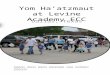 Yom Ha’atzmaut at Levine Academy ECC