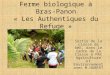 Ferme biologique à Bras-Panon « Les Authentiques du Refuge »