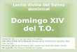 Lectio  divina del Salmo dominical Domingo XIV  del T.O