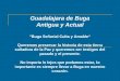 Guadalajara de Buga Antigua y Actual "Buga Señorial Culta y Amable“