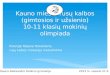 Kauno miesto rusų kalbos (gimtosios ir užsienio) 10-11 klasių mokinių olimpiada