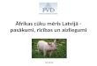 Āfrikas cūku mēris Latvijā - pasākumi, rīcības un aizliegumi