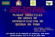 PLAGAS INSECTILES EN AREAS DE INTENSIFICACION DE QUINUA EN PUNO