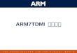 ARM7TDMI  总线接口