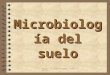 Microbiología del suelo