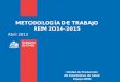 METODOLOGÍA DE TRABAJO REM 2014-2015