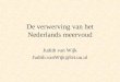 De verwerving van het Nederlands meervoud