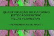 QUANTIFICAÇÃO DO CARBONO  ESTOCADO/EMITIDO  PELAS FLORESTAS  – FERRAMENTAS DE APOIO –