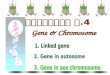 Gene & Chromosome