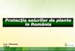 Protecţia soiurilor  de  plante în România