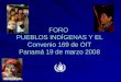 FORO  PUEBLOS INDÍGENAS Y EL Convenio 169 de OIT Panamá 19 de marzo 2008