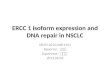 ERCC 1 isoform expression and DNA repair in NSCLC