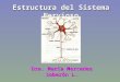Estructura del Sistema Nervioso