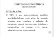 DIREITO DO CONSUMIDOR  ( LEI 8.078/90)