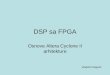 DSP sa FPGA