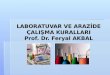 LABORATUVAR VE ARAZİDE ÇALIŞMA KURALLARI Prof. Dr.  Feryal  AKBAL
