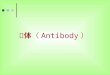 抗体 （ Antibody ）